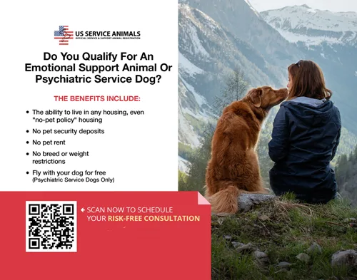 Bolonka dog makes a good emotional support animal