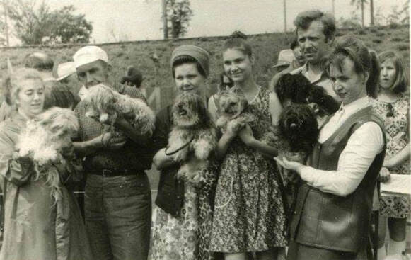 old Russian image of a group of Bolonka breeders holding their dogs